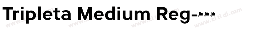 Tripleta Medium Reg字体转换 Tripleta Medium Reg字体转换